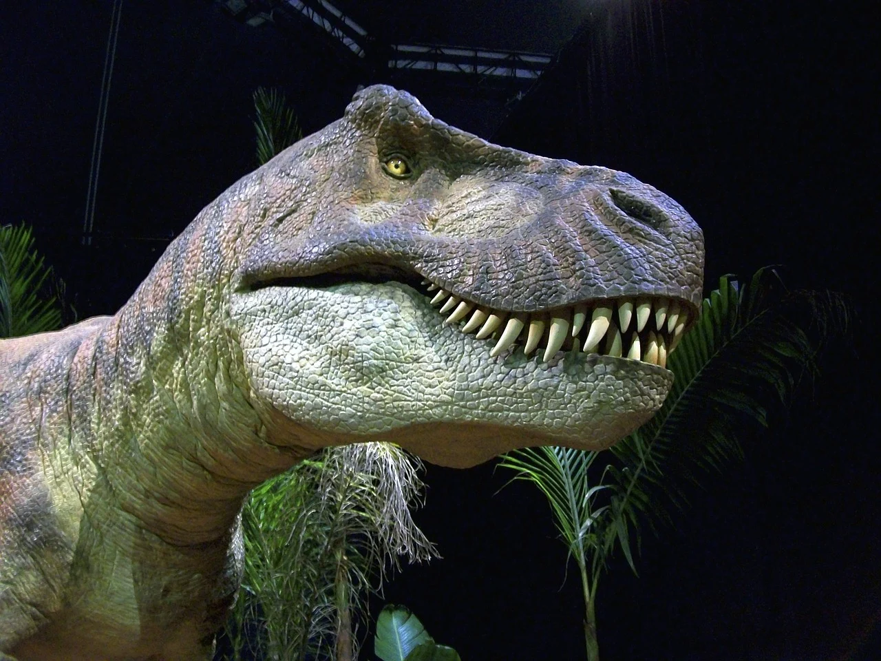 Tyrannosaurus Rex